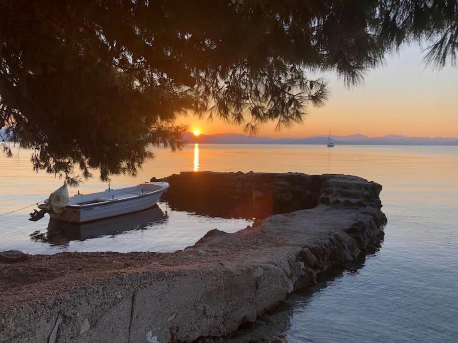 Levanda Seaview Apartament *